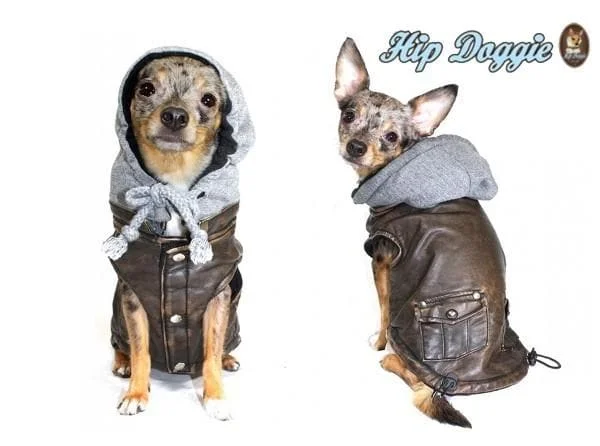 Fleece-lined dog boots-Vintage Bomber Dog Jacket