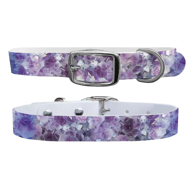 Modular dog travel crate-Amethyst Dog Collar With Silver Buckle