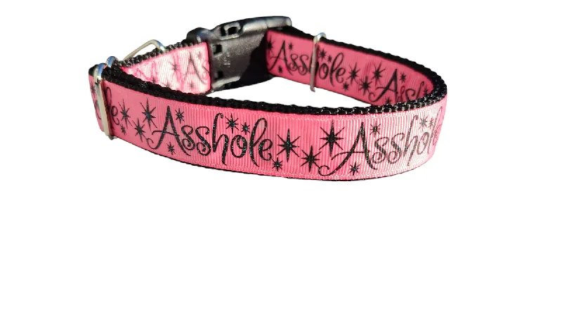 Aloe pet skin gel-Asshole Pink Glitter Nylon Dog Collar