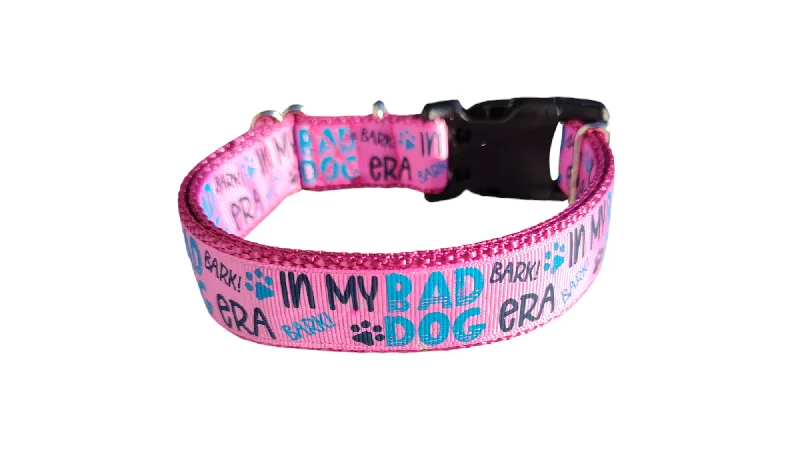 Travel cat litter pan-Bad Dog Era Nylon Dog Collar