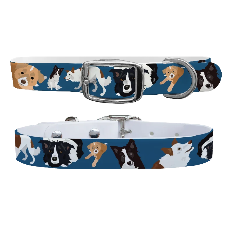 Anti-slip pet winter boots-Border Collie Dog Collar With Silver Buckle