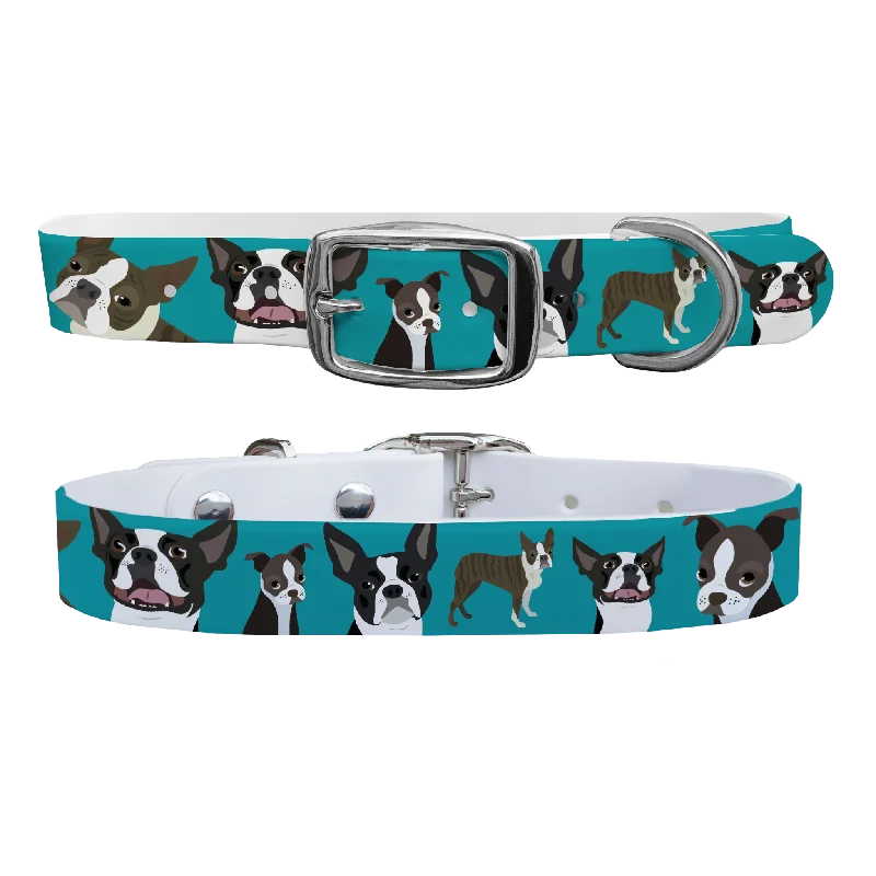 Plush dog fetch toy-Boston Terrier Dog Collar With Silver Buckle