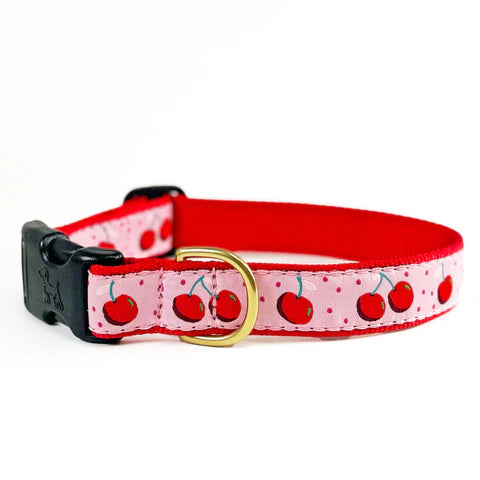 Dual-bristle pet brush-Cherries Dog Collar