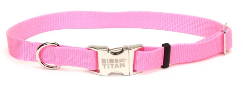 Non-slip pet grooming platform-Coastal Pet Products Titan Metal Buckle Adjustable Nylon Small and Medium Dog Collar