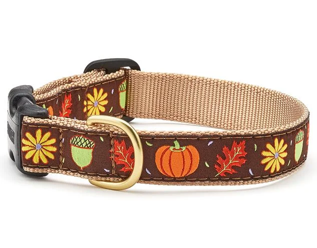 Herbal cat dental toy-Harvest Time Dog Collar