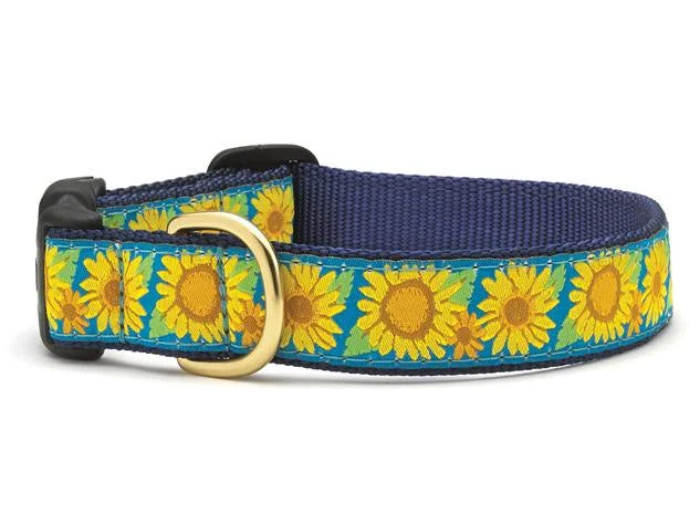 Compact bird travel swing-Sunflower Dog Collar