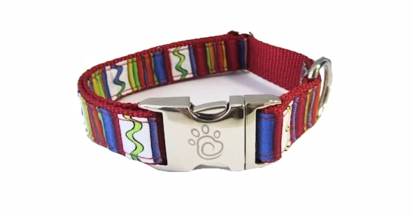 Pet-safe travel first aid-cfo South Park Collar