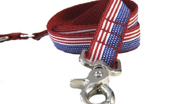 Pet-safe furniture polish-cfo USA Pride Leash