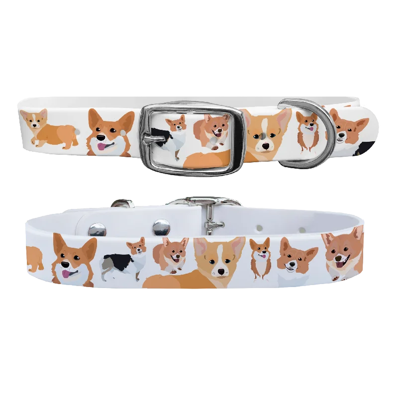 Replaceable pet fountain filter-Corgi Dog Collar With Silver Buckle