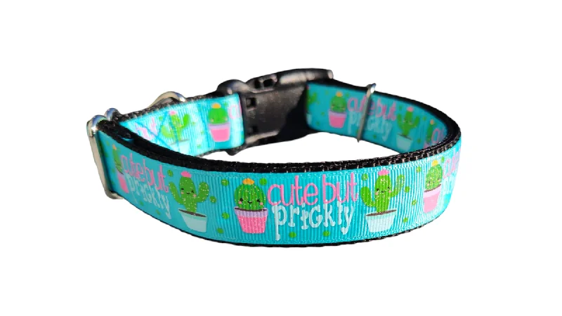 Compact pet water flask-Cute But Prickly Cactus Nylon Dog Collar