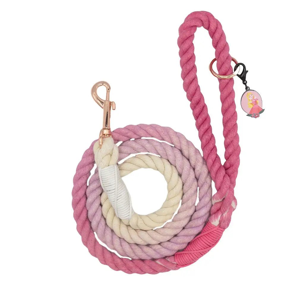 Stainless pet treat scoop-Disney Princess™ Rope Leash- Aurora