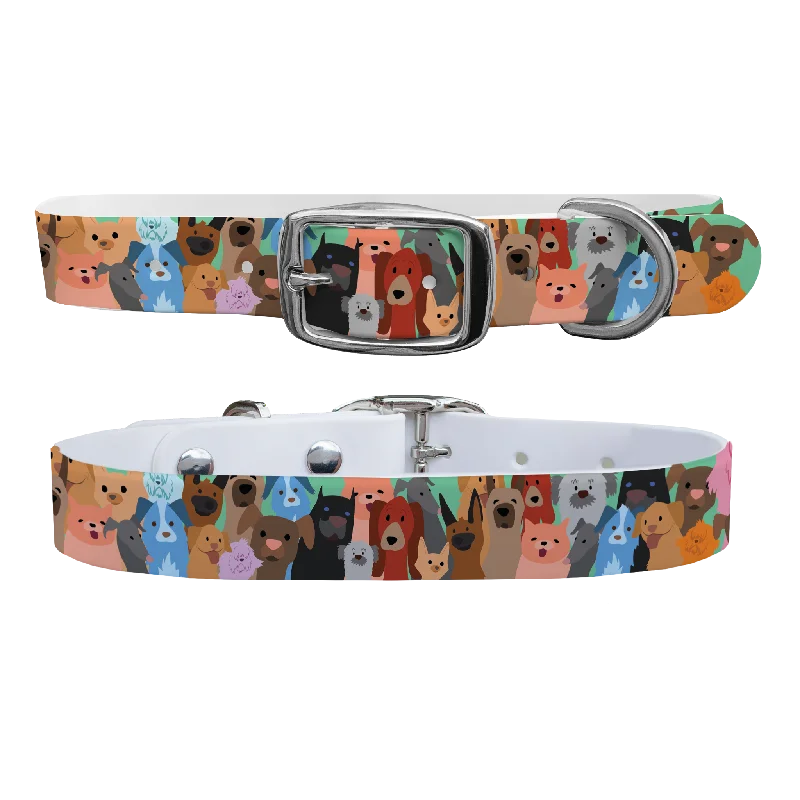 Oatmeal cat grooming wipes-Dog Party Dog Collar With Silver Buckle