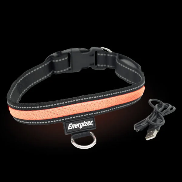 Padded pet kennel pad-Energizer LED Dog Collar USB - Orange Blaze