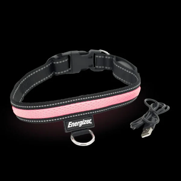 Tilted cat water bowl-Energizer LED Dog Collar USB - Pink Blaze