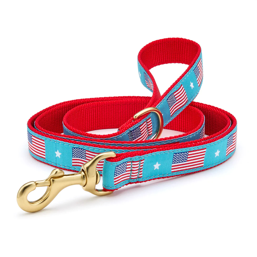 Quilted puppy nap pad-Flag Day Dog Lead