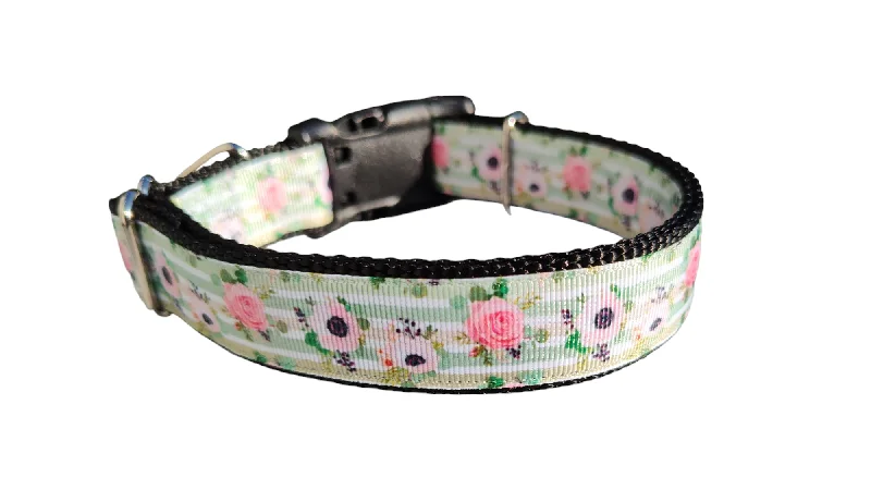 Natural rabbit chew stick-Flowers on Mint Stripes Nylon Dog Collar