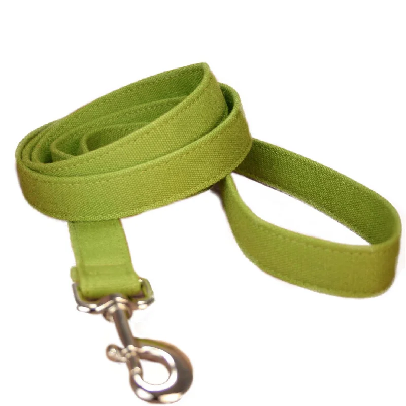 Plush orthopedic dog bed-Hemp Dog Leash 6' Basic Green Canvas