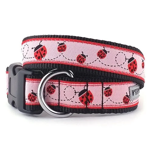 Long-lasting pet water jug-Ladybug Collar and Lead Collection