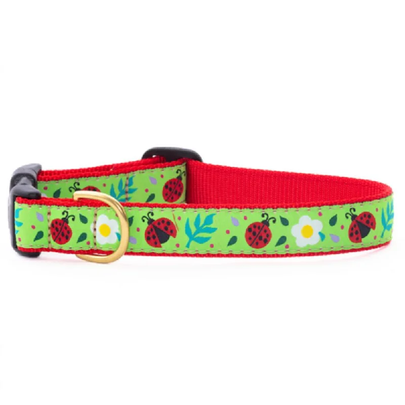 Rolling puppy treat puzzle-Ladybugs Dog Collar