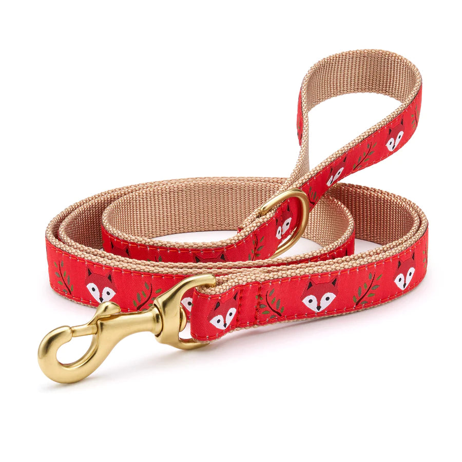 Sealable pet snack canister-Foxy Dog Lead