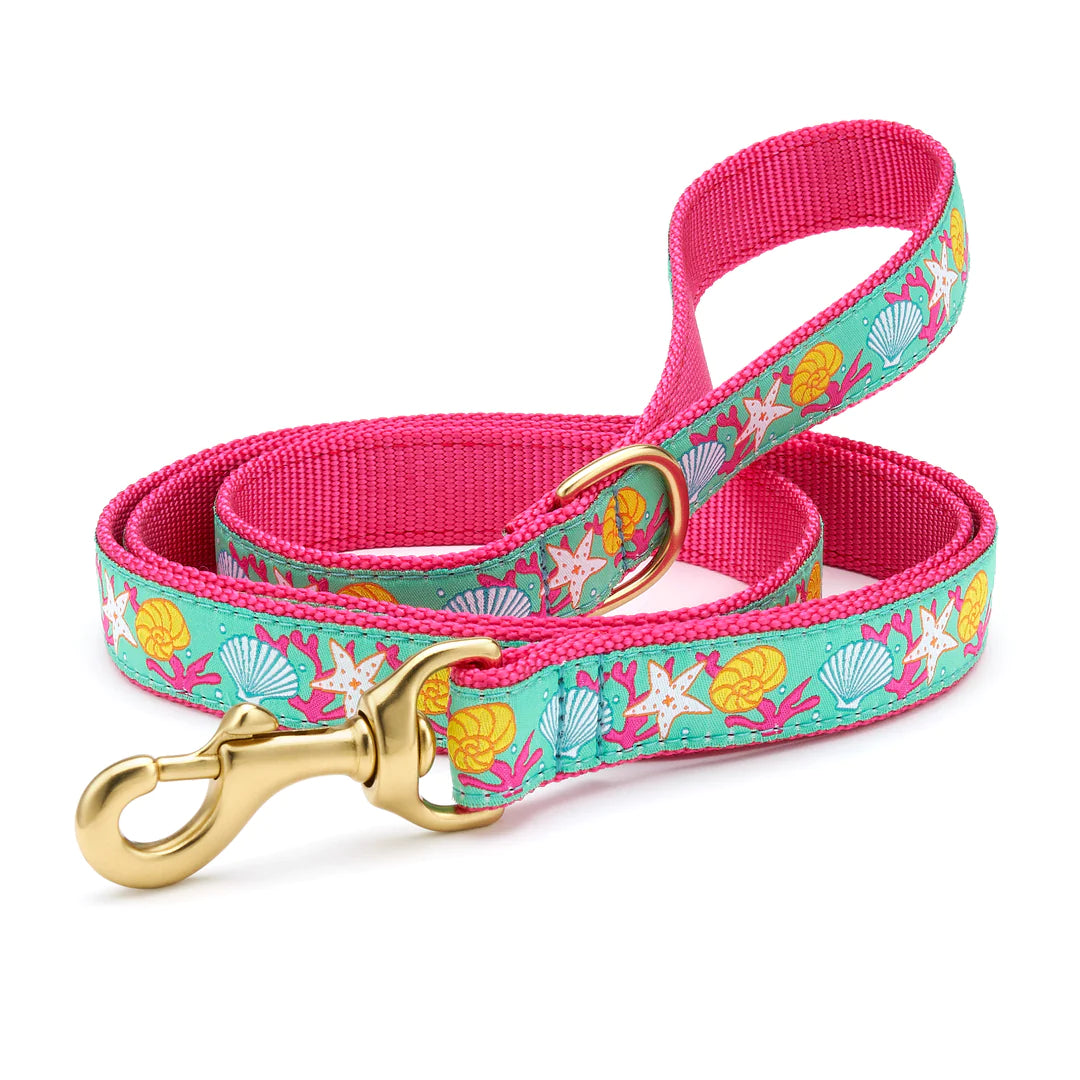 Neon bird adventure harness-Reef Dog Lead