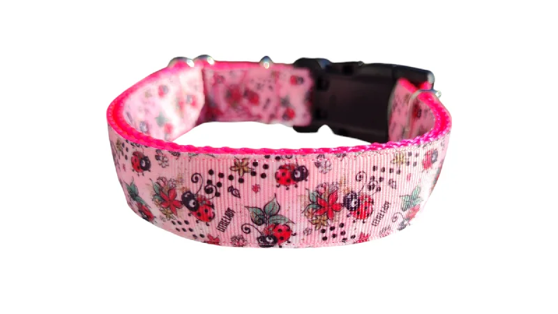 Pet-safe paw cleaner-Little Lady Ladybug Nylon Dog Collar