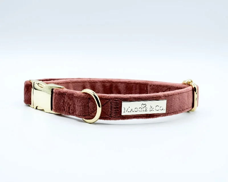 Antibacterial paw washer-Maggie and Co. Velvet Collection: Miss Maggie Collar