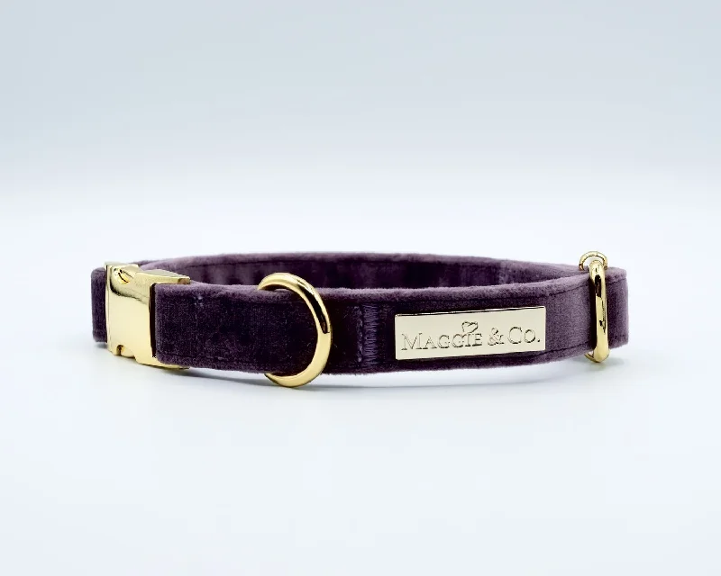 Embroidered cat safety collar-Maggie and Co. Velvet Collection: The Susana Collar