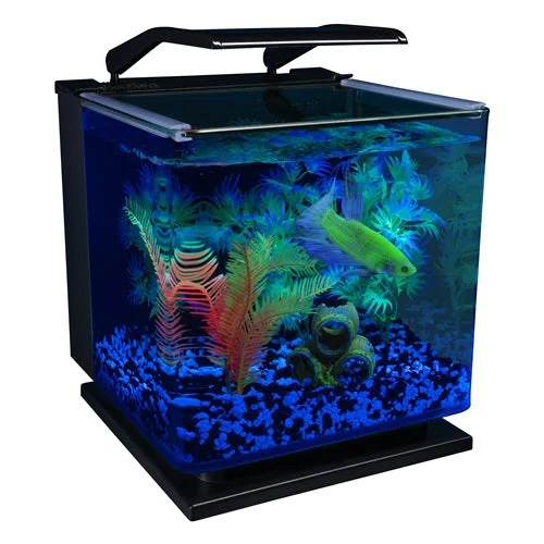 Weighted dog calming jacket-MARINELAND GloFish 3 Gal. Aquarium kit