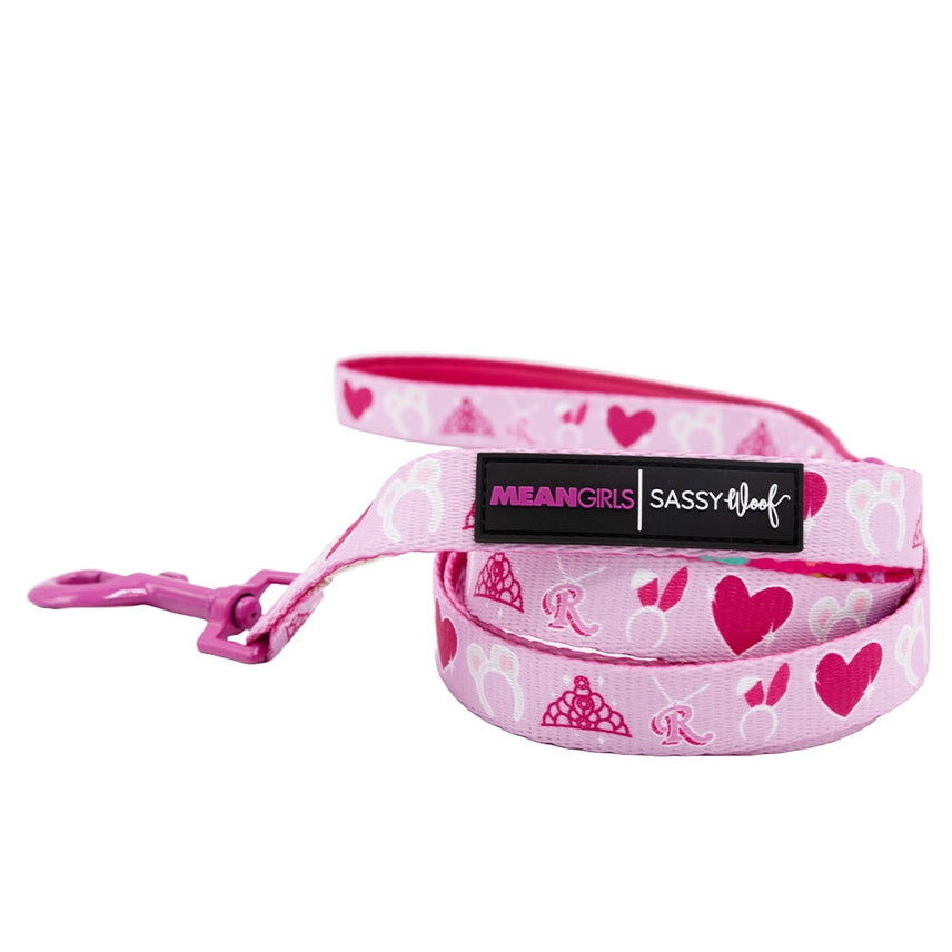 Mesh pet travel tote-Mean Girls™ Leash