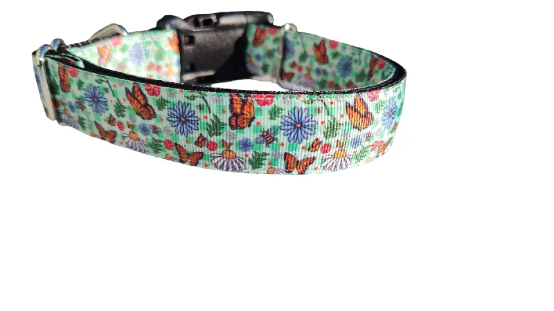 Soft puppy fetch bone-Monarch Butterfly Nylon Dog Collar