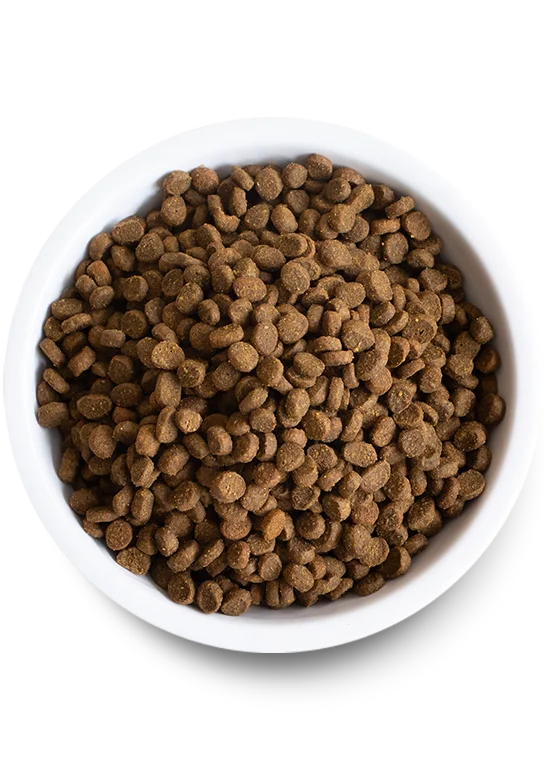 Coral aquarium decoration-Open Wild-Caught Salmon Dry Cat Food