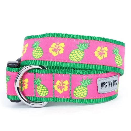 Magnetic pet hair collector-Pineapples Collar and Lead Collection