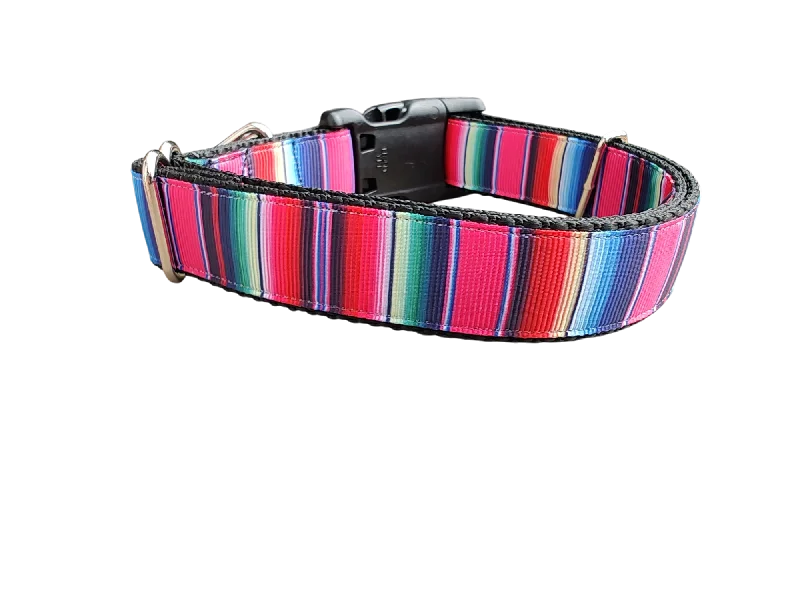 Herbal pet mouth rinse-Pink Sarape Nylon Dog Collar