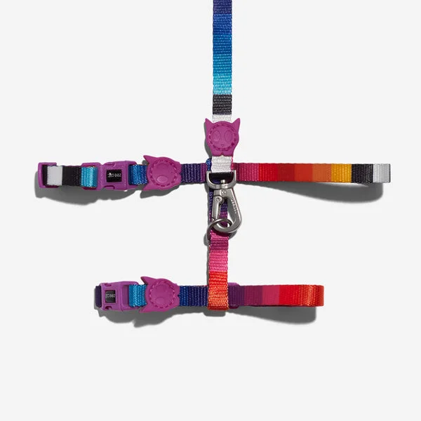 Portable cat activity post-Prisma | Cat Harness with Leash