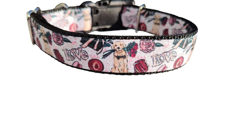 Compact pet water jug-Puppy Love Nylon Dog Collar