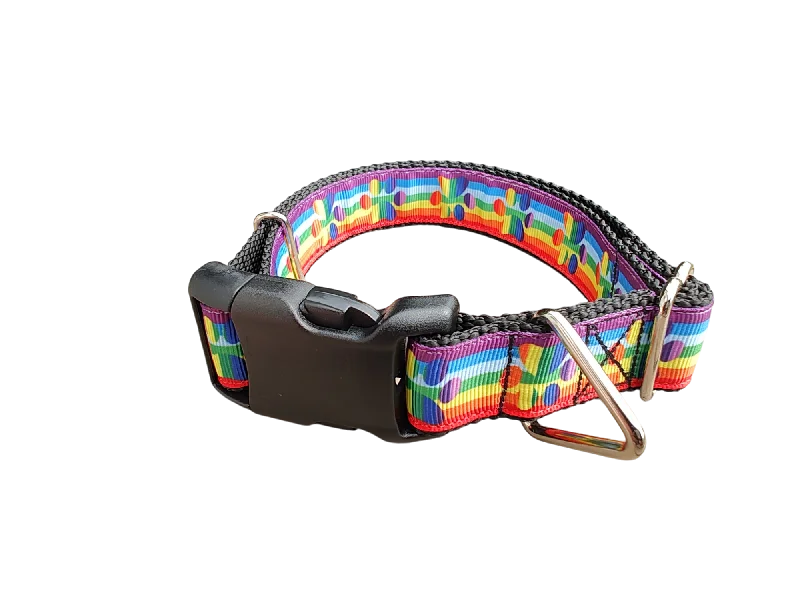 Non-slip pet boot socks-Rainbow Pride Paws Nylon Dog Collar