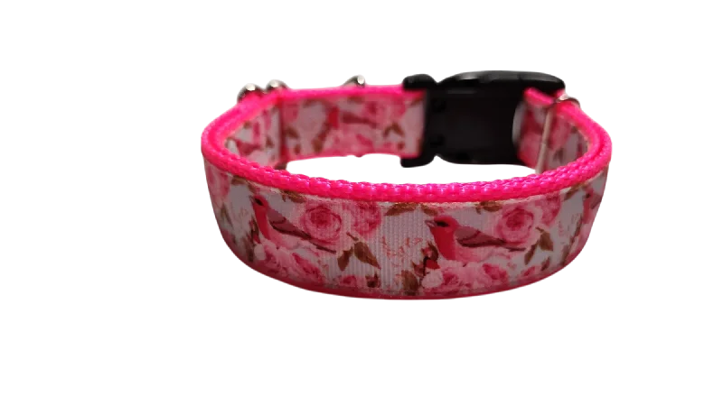 Pet-safe surface spray-Rose Finch Bird Nylon Dog Collar