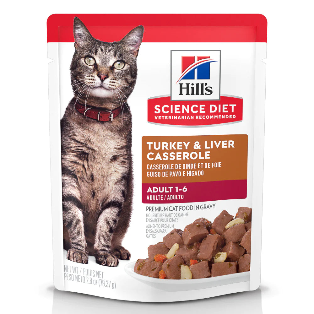 SCIENCE CAT AD TKY CASSEROLE4z