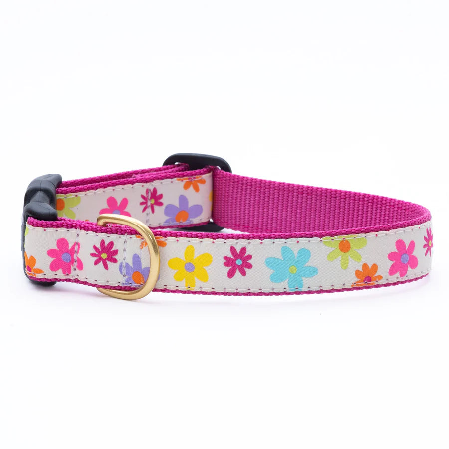 Antibacterial pet paw cup-Spring Fever Dog Collar