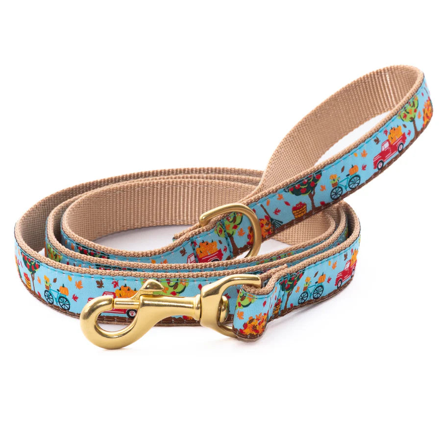 Neon dog adventure leash-To the Orchard Dog Lead