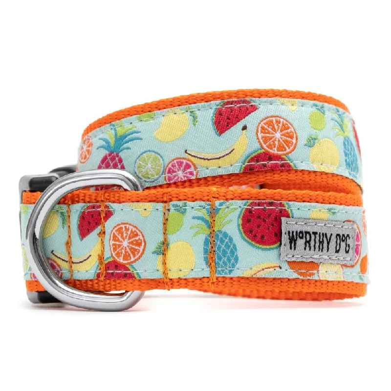 Mesh pet travel tote-Tutti Frutti Collar & Lead Collection