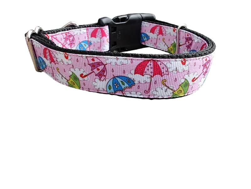 Herbal dog ear cleaner-Umbrella Weather Nylon Dog Collar