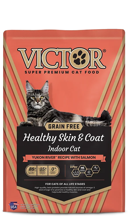 Rolling puppy treat puzzle-Victor GF Healthy Skin & Coat - Indoor Cat