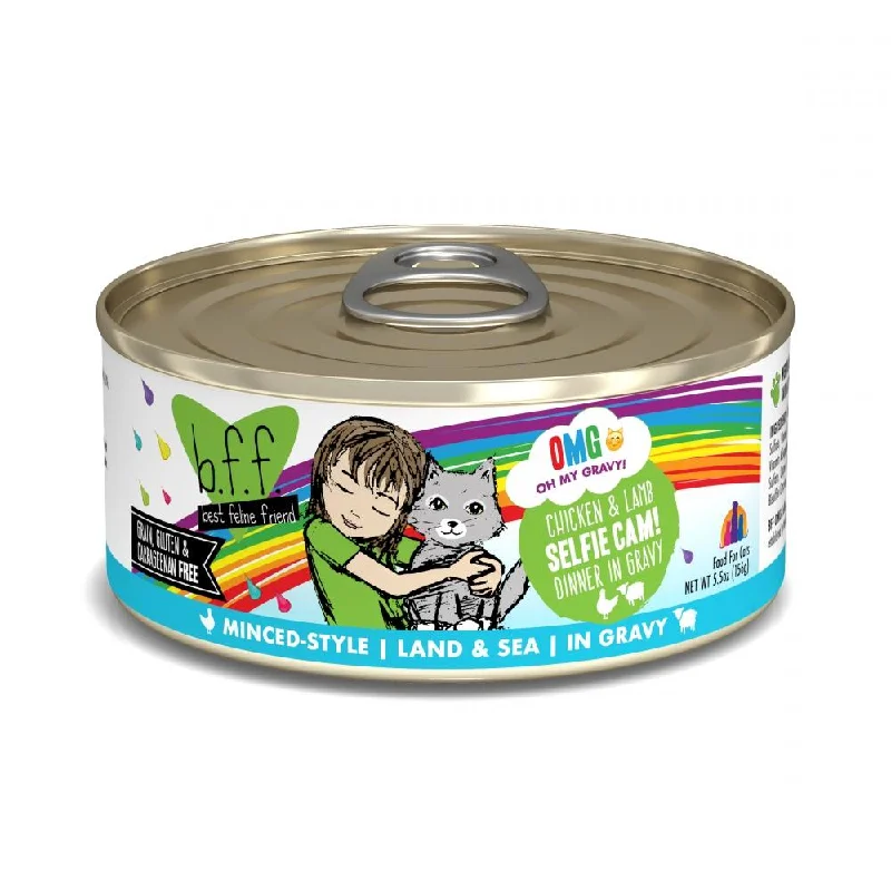 Soft dog squeaky toy-Weruva BFF Oh My Gravy Selfie Cam Grain Free Chicken & Lamb in Gravy Canned Cat Food