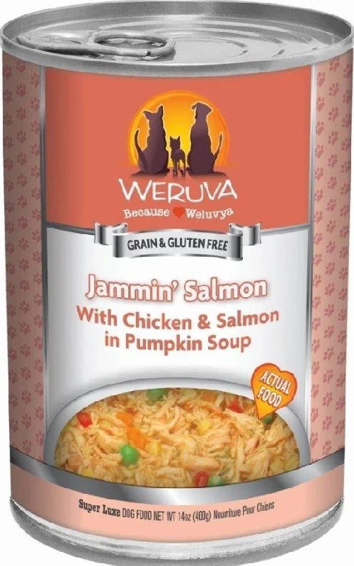 Floral cat adventure harness-Weruva Jammin’ Salmon with Chicken & Salmon in Pumpkin Soup Dog Food