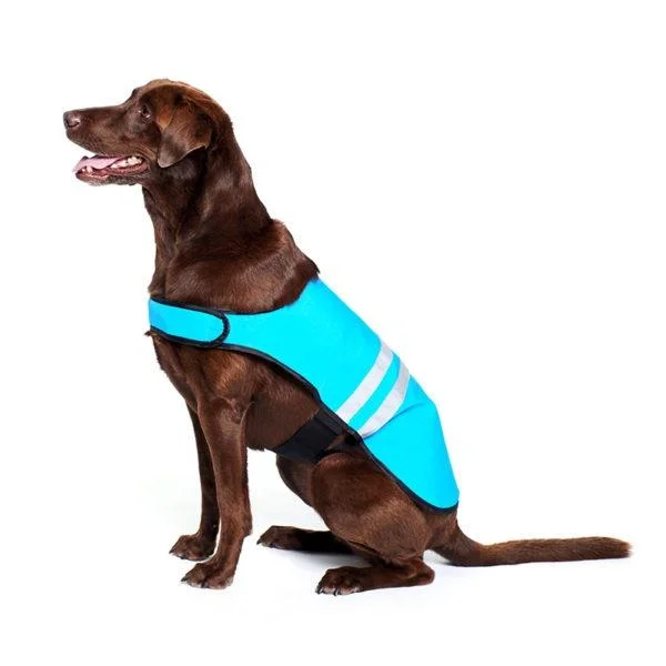 Portable cat activity post-ZippyPaws Adventure Gear Blue Cooling Dog Vest