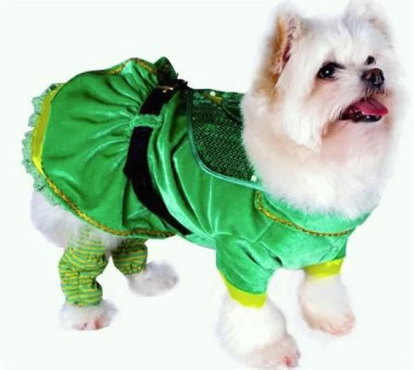 Reversible pet sun hat-Little Leprechaun Girl Dog Costume