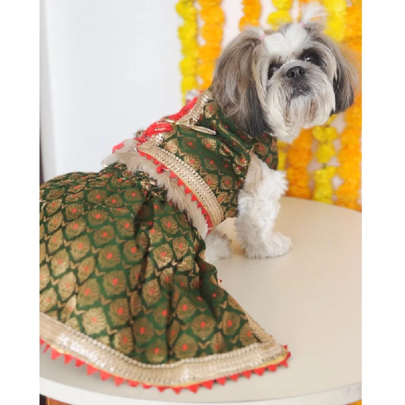 Breathable birdcage pad-Pawgypets Brocade Lehenga for Dogs and Cats (Green)