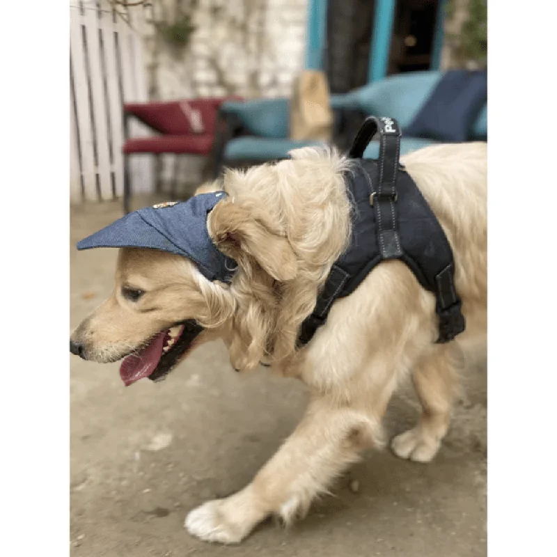 Low-noise pet water pump-Pawgypets Cap for Dogs and Cats (Denim)